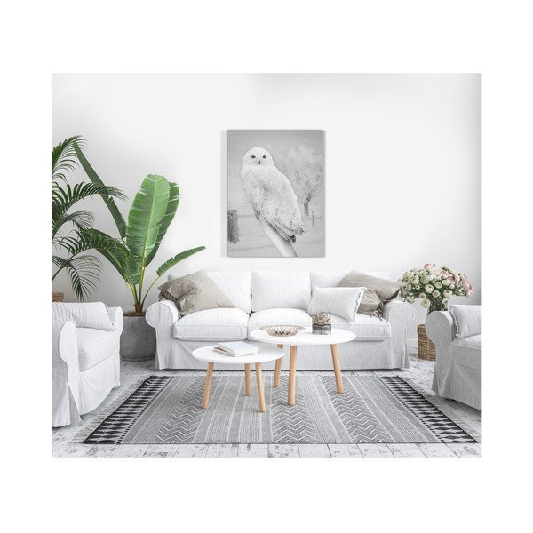 Styler Canvas Nordijska sova, 75 x 100 cm-image-1