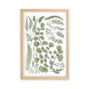 Slika z okvirjem iz borovega lesa Surdic Leafes Collection, 50 x 70 cm