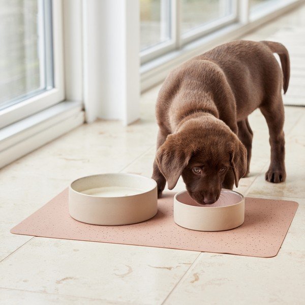 Keramična posoda za hrano za pse ø 13 cm Sia – OYOY Living Design-image-2