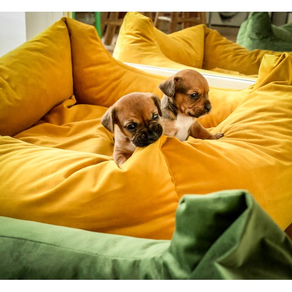 Rumena postelja za pse 80x67 cm – Madison-image-1