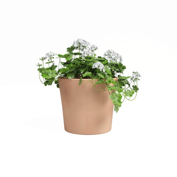 Cvetlični lonec iz terakote ø 24 cm Manuel – Artevasi-image-1