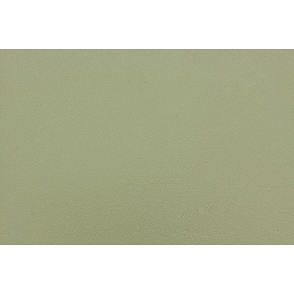 Zeleni plastični vrtni stoli v kompletu 4 ks Sjoerd – White Label-image-1