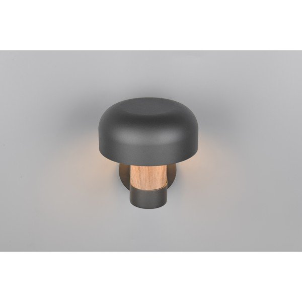 Stenska zunanja svetilka (višina 24,5 cm) Fraser – Trio-image-2