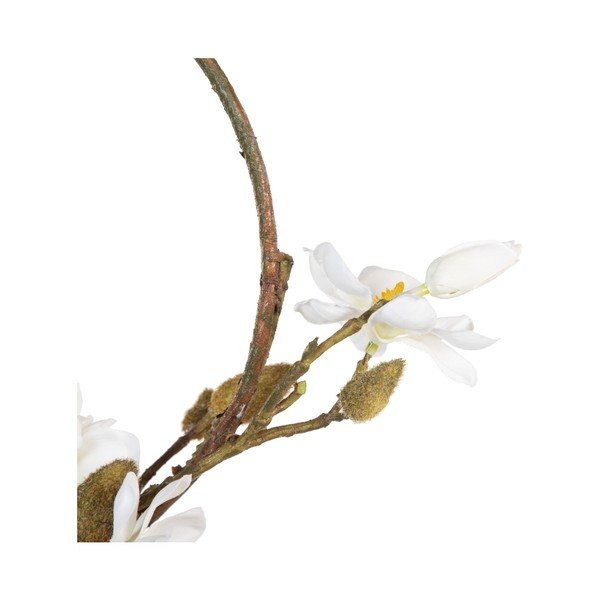 Venec Magnolia – Ixia-image-1