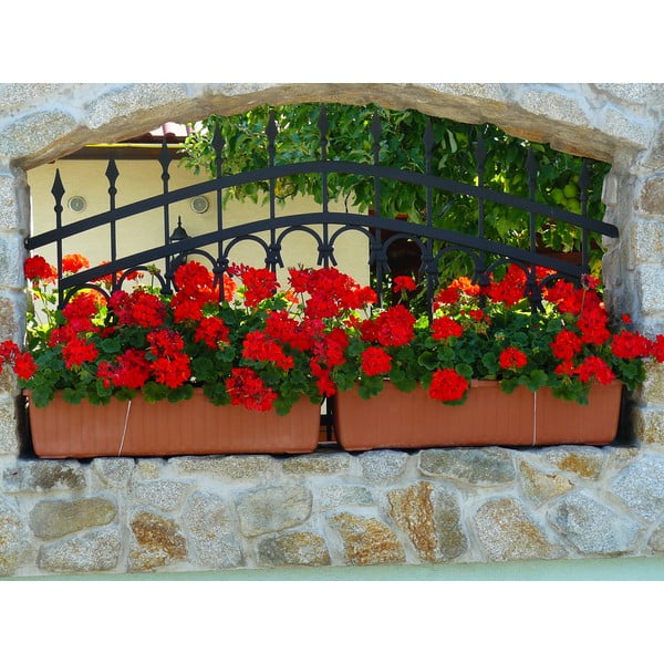 Rjavo samozalivalno cvetlično korito Plastia Siesta, dolžina 80 cm-image-1