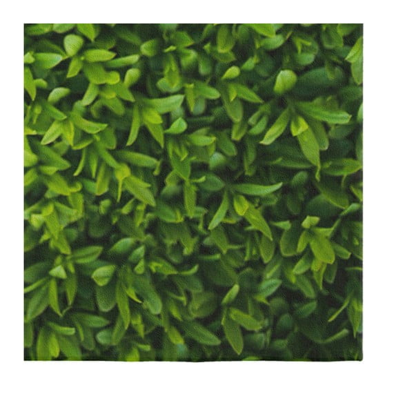 Zelena preproga Oyo home Suzzo Grass, 140 x 220 cm-image-3