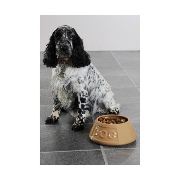 Lončena posoda za vodo za pse Mason Cash Pet Cane, ø 21 cm-image-2