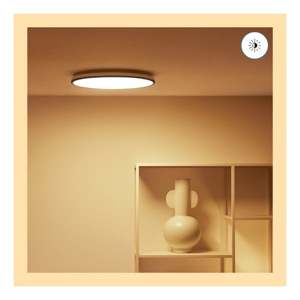 LED pametna stropna svetilka 21 W Rune – WiZ-image-1