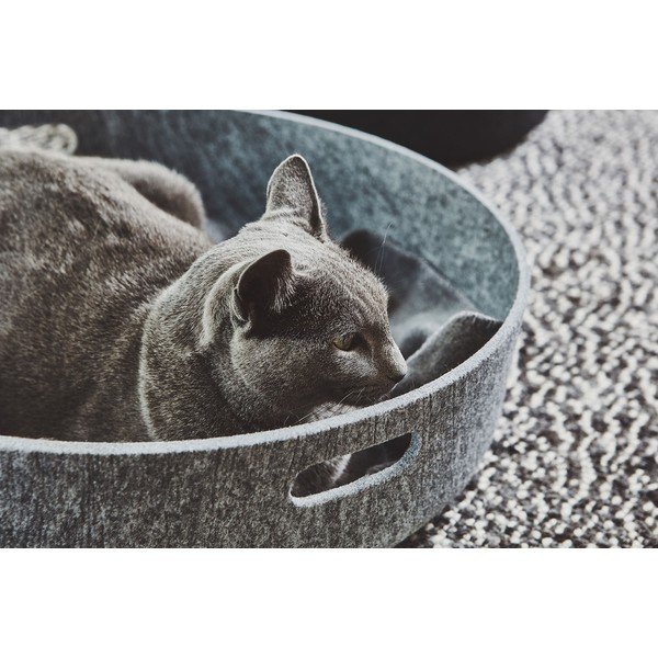 Tekstilna košara za shranjevanje ø 46x12 cm Cesto Concrete – MiaCara-image-3