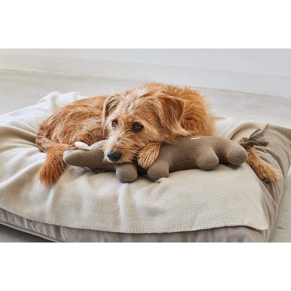 Igrača za pse Bosco Boar – MiaCara-image-3