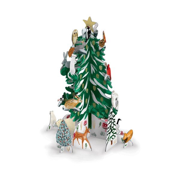 Adventni koledar Conifer - Roger la Borde-image-2