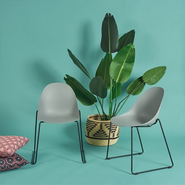 Komplet 2 sivih jedilnih stolov s črnim podnožjem Bonami Essentials Viva-image-1