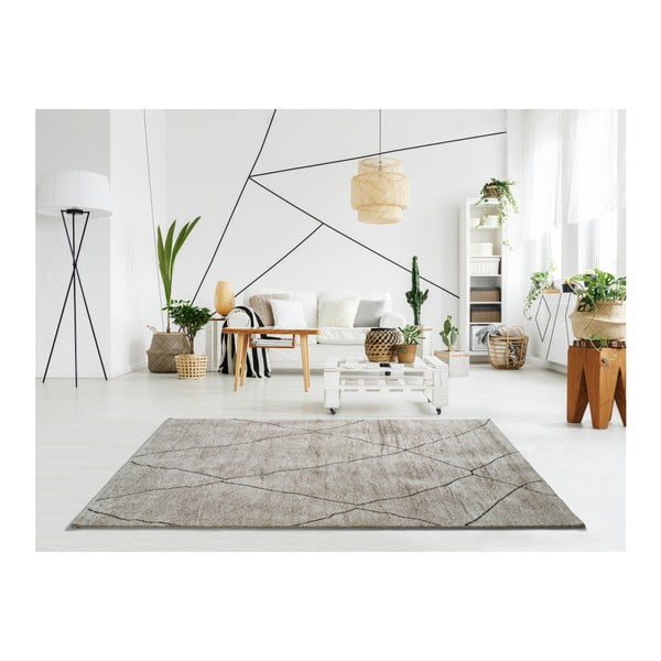 Bež preproga Universal Hydra Beige, 160 x 230 cm-image-1