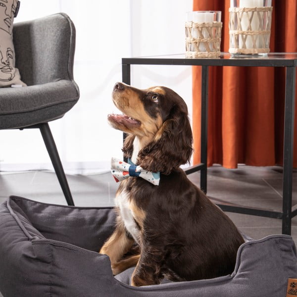 Modra postelja za pse 50x55 cm – Love Story-image-4