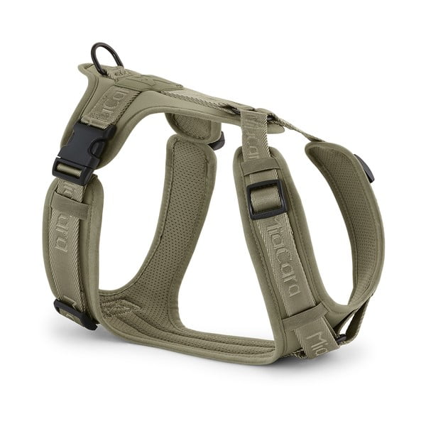 Zelena oprsnica velikosti M dolžina 35 cm Modena Grolive M – MiaCara