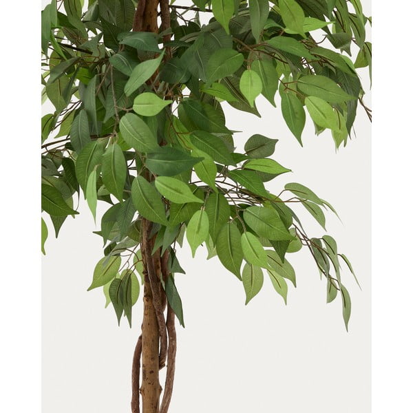 Umetni fikus (višina 180 cm) Ficus – Kave Home-image-1
