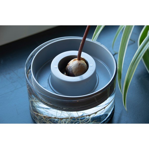 Steklena posoda za kaljenje ø 14 cm Avocado – Esschert Design-image-1