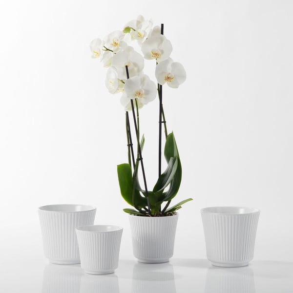 Bel keramični cvetlični lonec Big pots Gloss, ø 12 cm-image-1