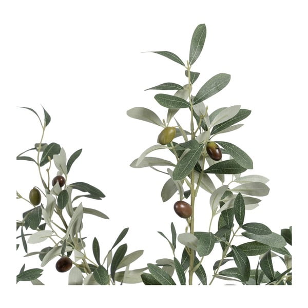 Umetna oljka (višina 78 cm) Olive Tree – Ixia-image-1