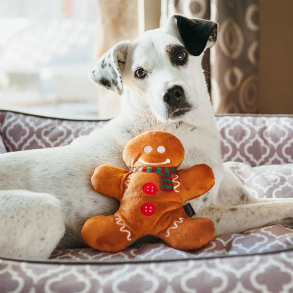 Igrača za pse Gingerbread Man - P.L.A.Y.-image-1