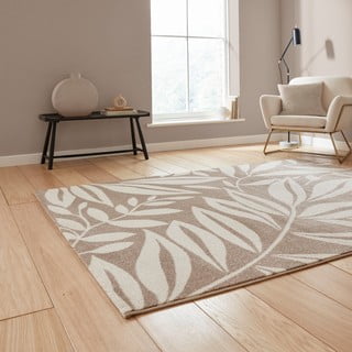 Svetlo rjava preproga 120x170 cm Sorral Leaves  – Catherine Lansfield