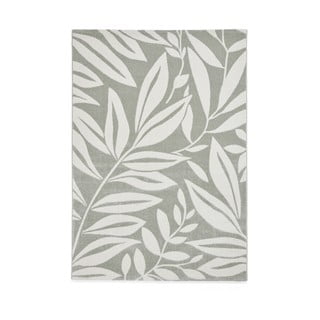 Svetlo zelena preproga 160x230 cm Sorral Leaves  – Catherine Lansfield