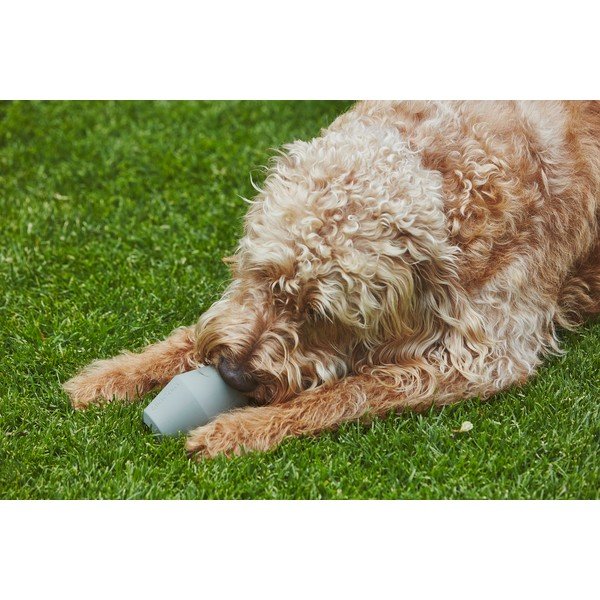 Igrača za pse Cono Slate – MiaCara-image-3