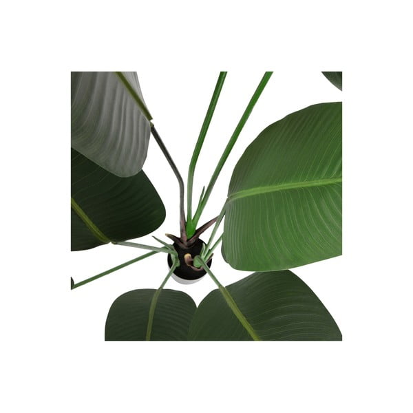 Umetna strelicija (višina 164 cm) – WOOOD-image-3