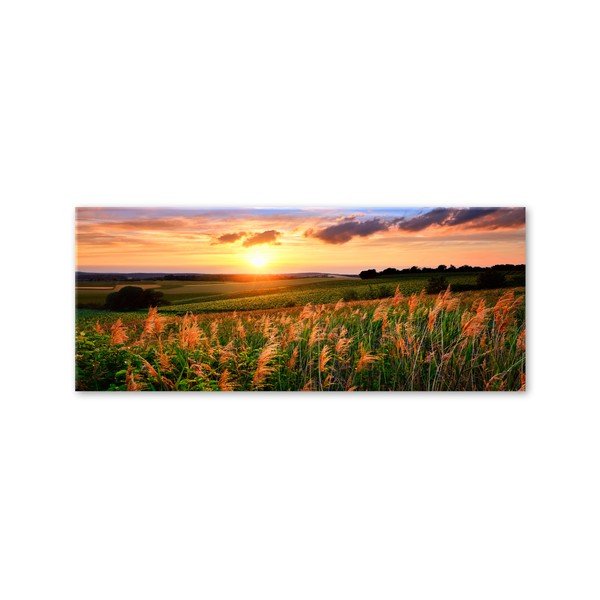 Slika Styler Glas Sunset Meadow, 50 x 125 cm