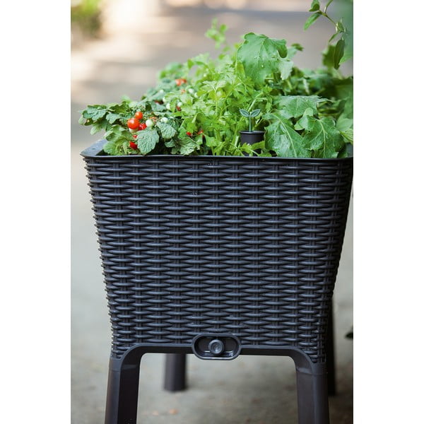 Korito za rože Easy Grow – Keter-image-2