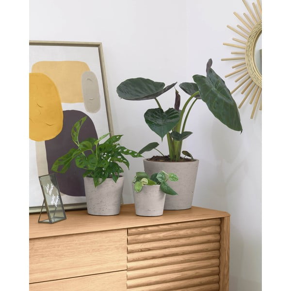 Betonski cvetlični lonci v kompletu 3 ks ø 23,5 cm Low – Kave Home-image-1