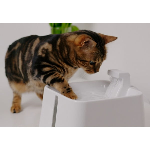 Pitnik za hišne ljubljenčke Epic Pet Zen – Plaček Pet Products-image-1