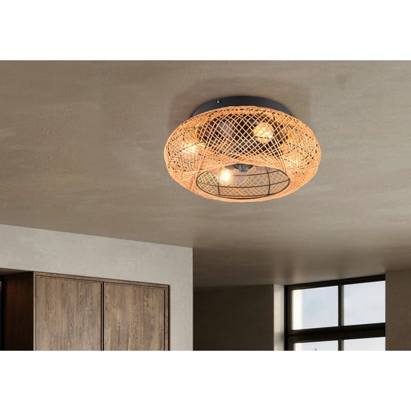 Rjava stropna svetilka z daljinskim upravljalnikom/z ventilatorjem Lillesand – Trio-image-1