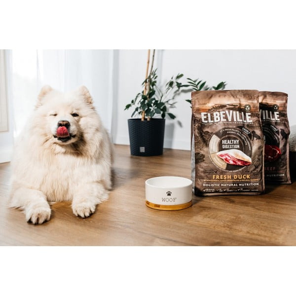 Keramična posoda za hrano za pse ø 16 cm Dog Fantasy WOOF – Plaček Pet Products-image-1