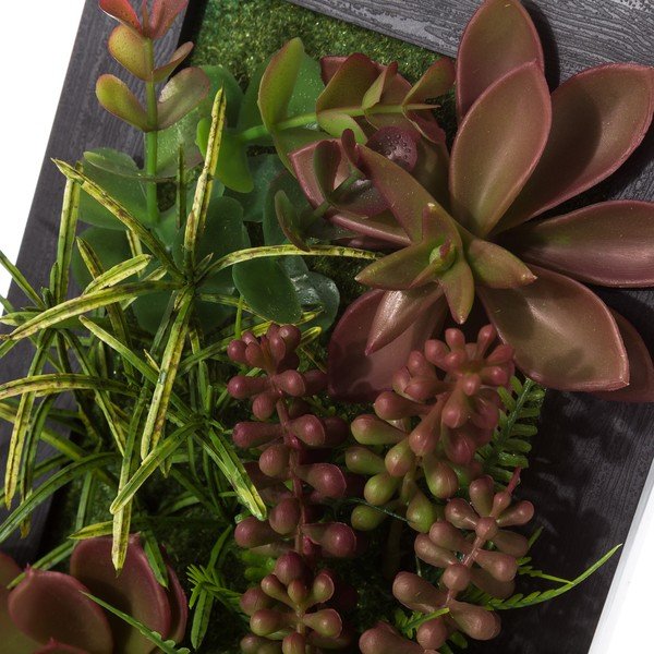 Komplet 2 visečih okraskov v obliki rastočega kaktusa Unimasa-image-1