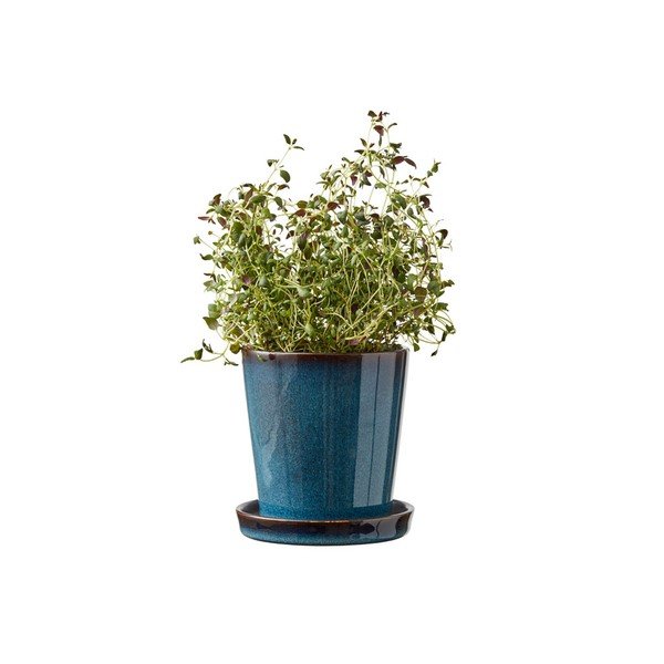 Okrasni cvetlični lonec iz kamenine ø 10 cm Gastro Dark Blue/Black – Bitz-image-1