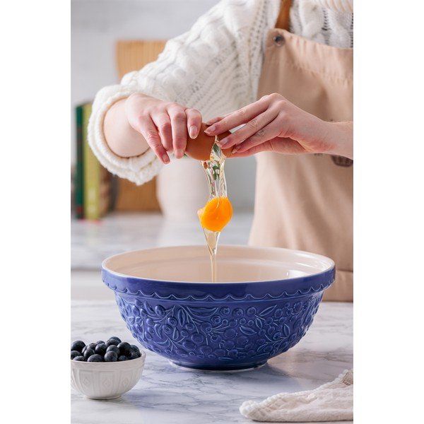 Modra skleda iz kamenine ø 26 cm Fruits Blueberry – Mason Cash-image-3