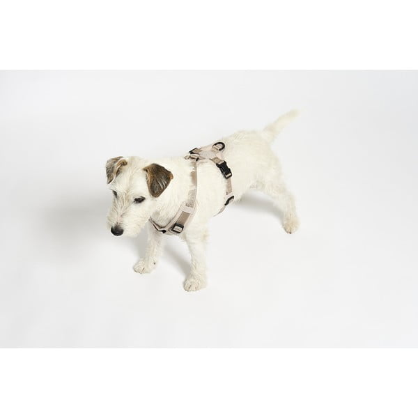 Bež oprsnica velikosti L dolžina 42 cm Modena Greige L – MiaCara-image-2