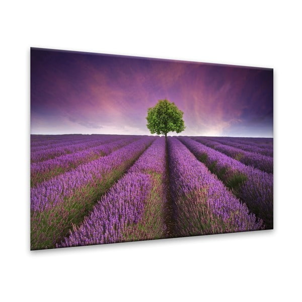 Slika Styler Glasspik Lavender, 80 x 120 cm