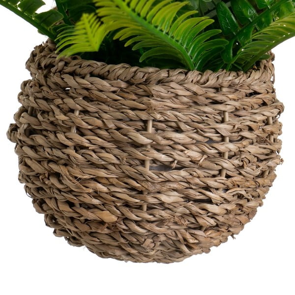 Umetna praprot (višina 25 cm) – Casa Selección-image-2