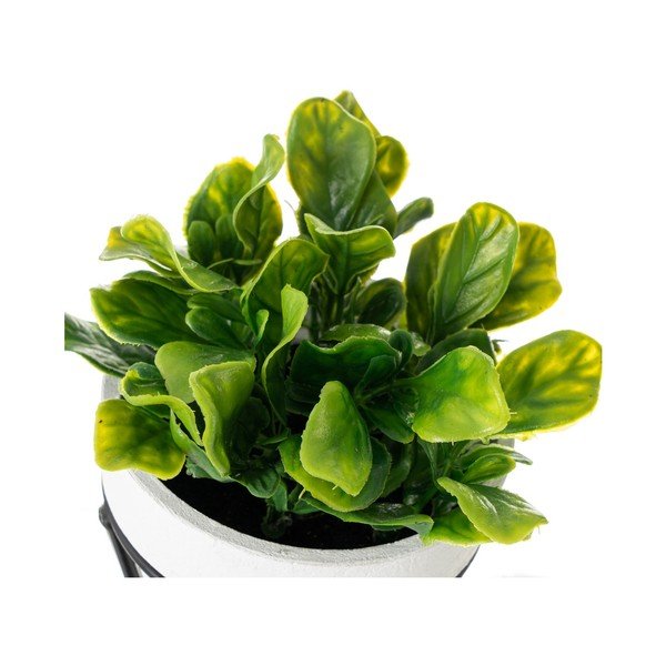 Umetne rastline v kompletu 4 ks – Casa Selección-image-1