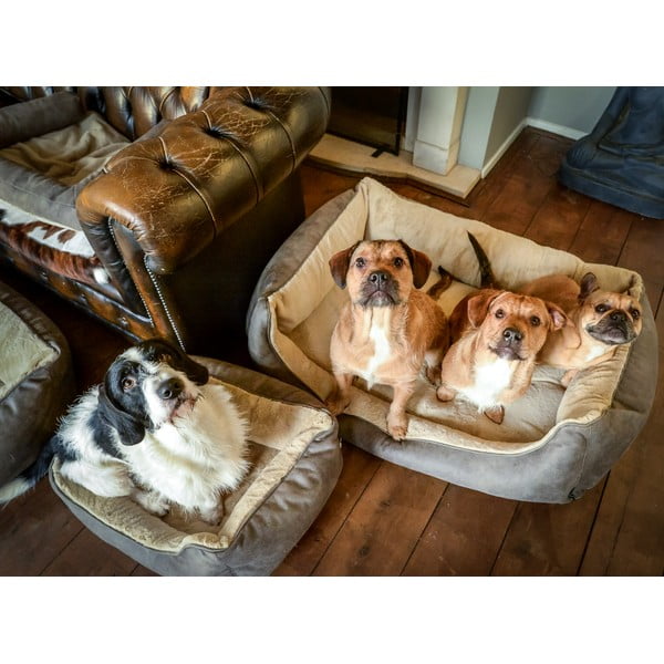 Svetlo rjava postelja za pse 50x65 cm – Madison-image-1