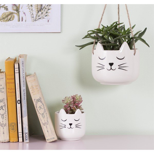 Cvetlični lonec Sass & Belle Cat's Whiskers-image-1