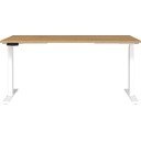 Električna dvižna pisalna miza 80x160 cm Jet – Germania