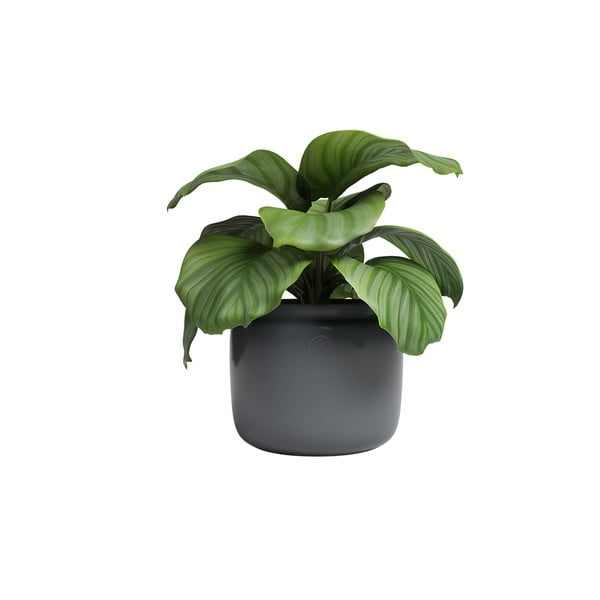 Keramičen ročno poslikan cvetlični lonec ø 20 cm Astrea – Artevasi-image-3