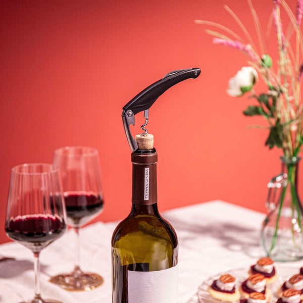 Jeklen odpirač za vino – VacuVin-image-2