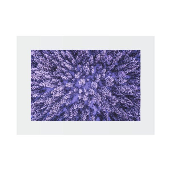 Vijolična preproga Oyo home Suzzo Flower, 140 x 220 cm-image-2