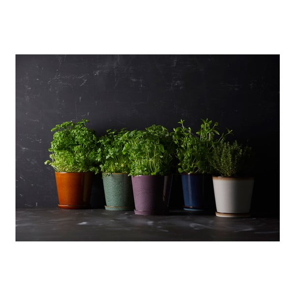 Cvetlični lonec iz kamenine ø 14 cm Gastro  – Bitz-image-2