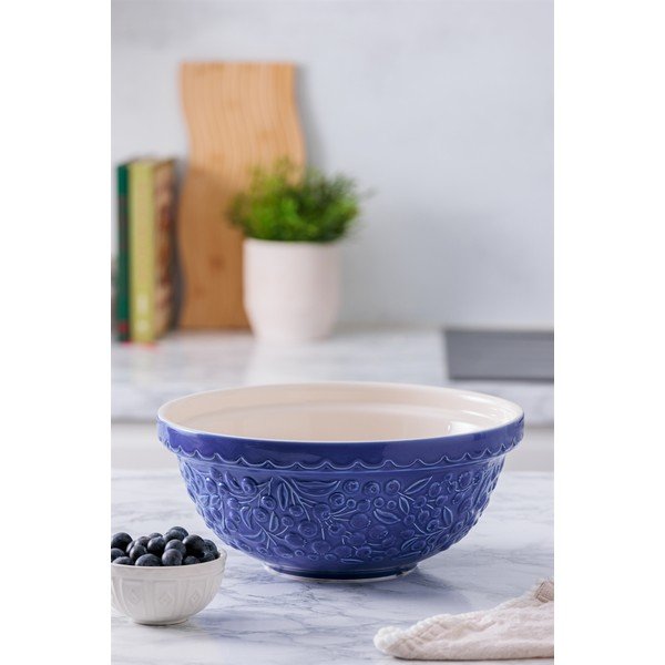 Modra skleda iz kamenine ø 26 cm Fruits Blueberry – Mason Cash-image-1