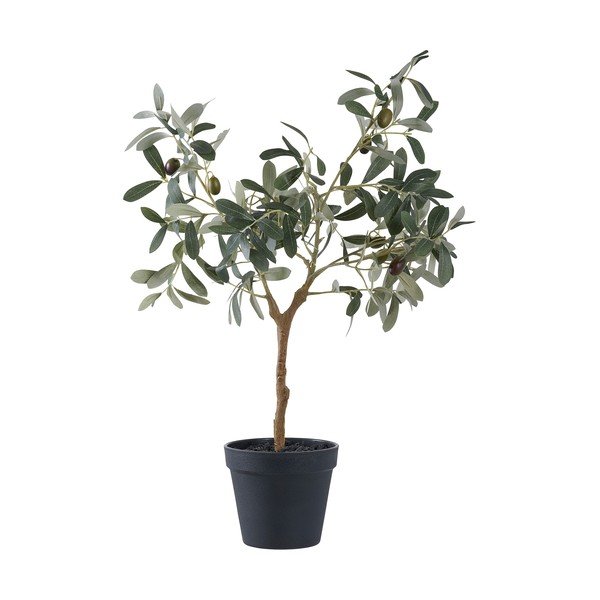 Umetna oljka (višina 61 cm) – House Nordic